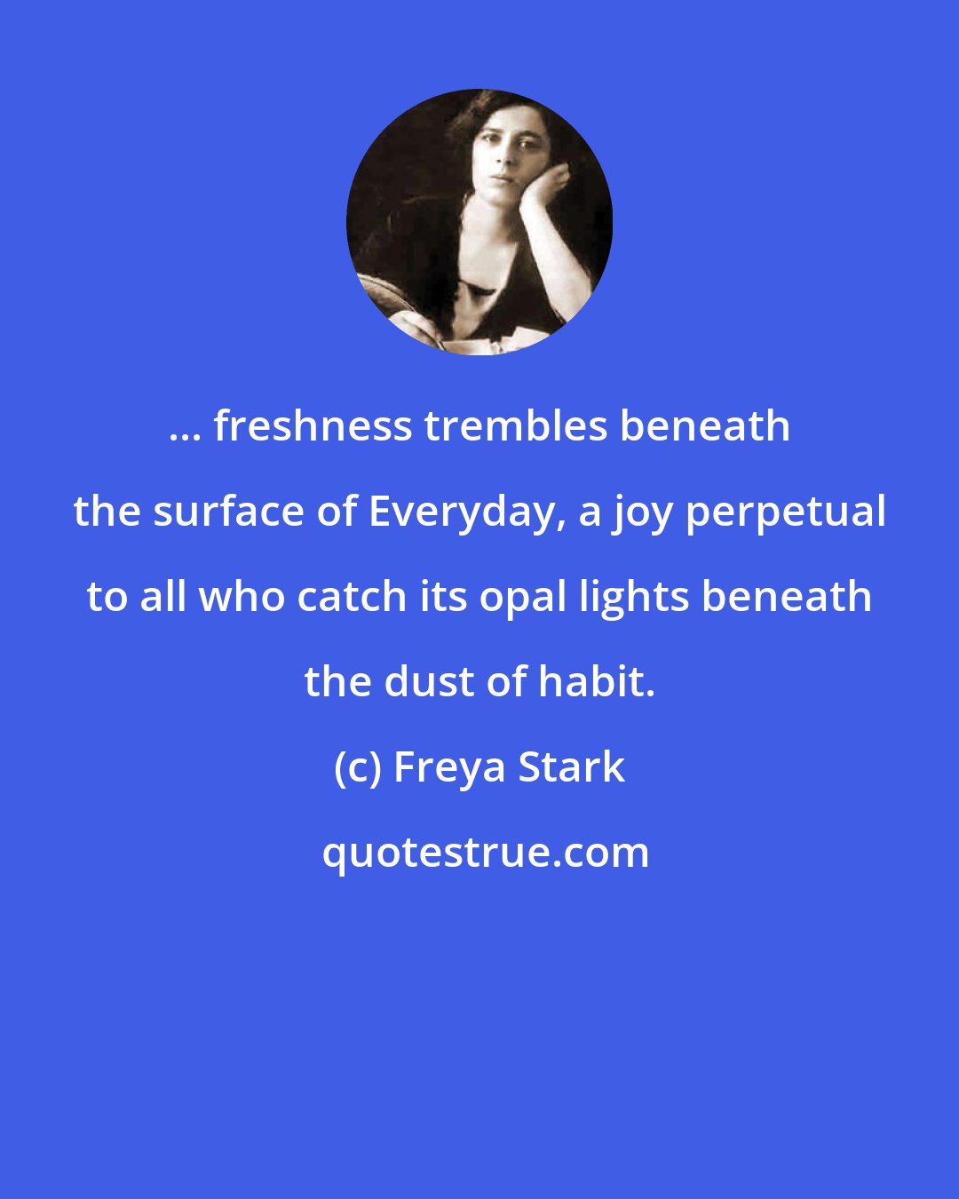 Freya Stark: ... freshness trembles beneath the surface of Everyday, a joy perpetual to all who catch its opal lights beneath the dust of habit.