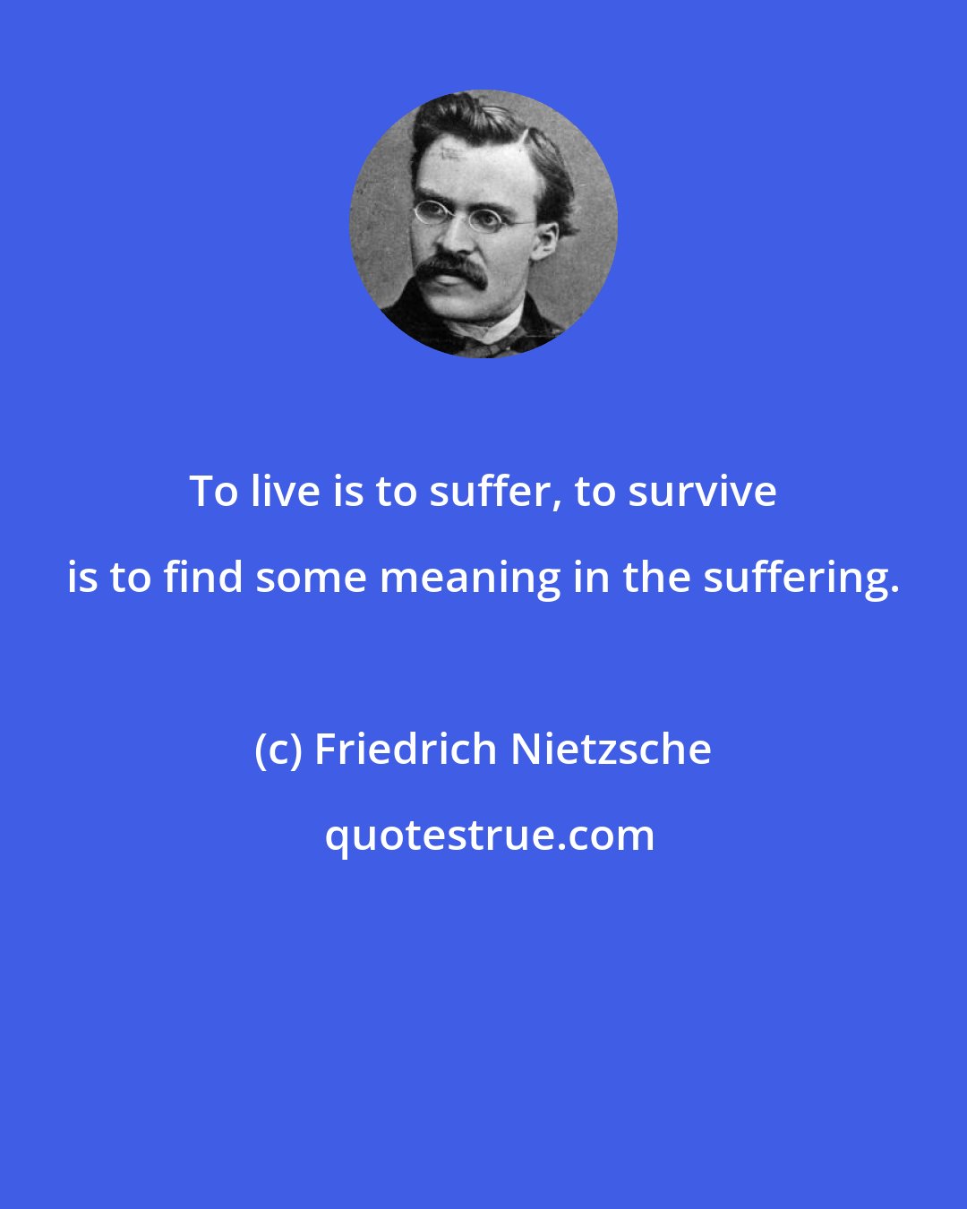 Friedrich Nietzsche: To live is to suffer, to survive is to find some meaning in the suffering.