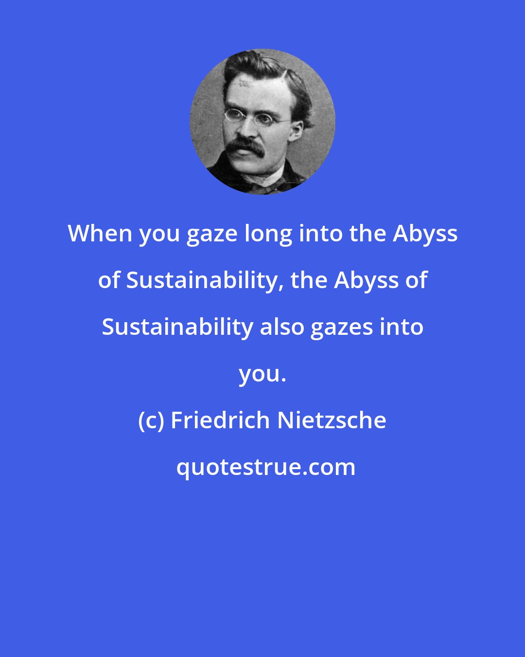 Friedrich Nietzsche: When you gaze long into the Abyss of Sustainability, the Abyss of Sustainability also gazes into you.