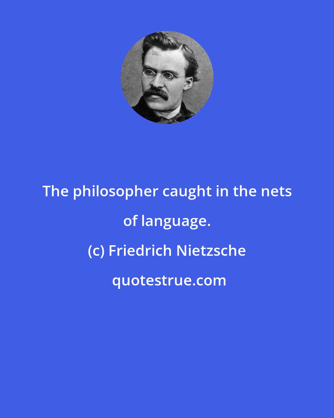 Friedrich Nietzsche: The philosopher caught in the nets of language.