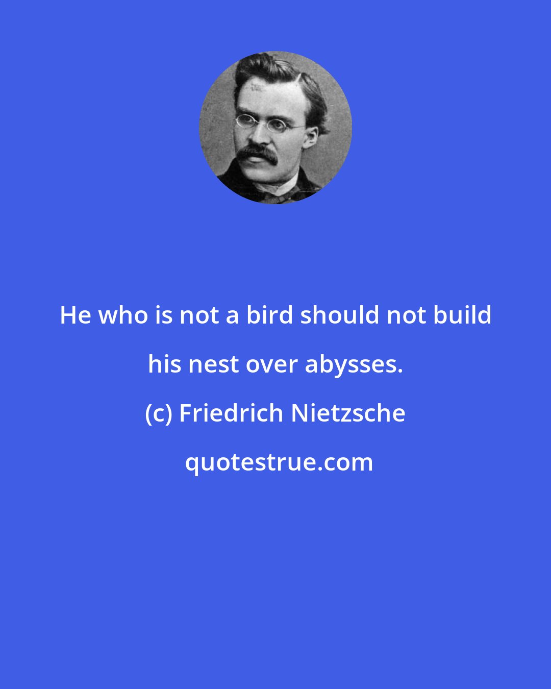 Friedrich Nietzsche: He who is not a bird should not build his nest over abysses.