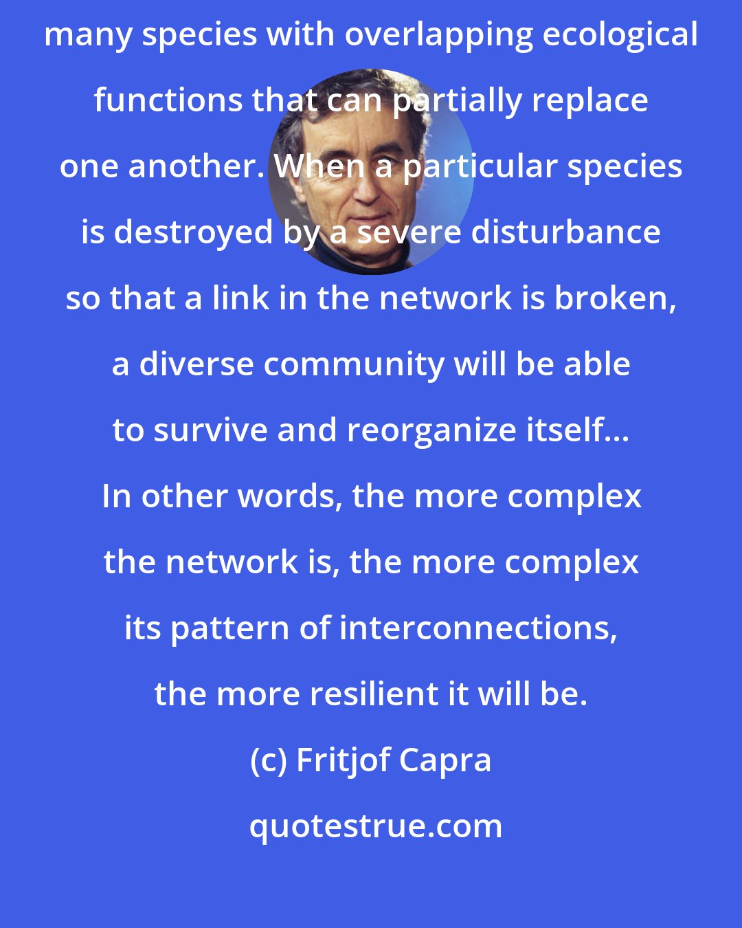 Fritjof Capra: A diverse ecosystem will also be resilient, because it contains many species with overlapping ecological functions that can partially replace one another. When a particular species is destroyed by a severe disturbance so that a link in the network is broken, a diverse community will be able to survive and reorganize itself... In other words, the more complex the network is, the more complex its pattern of interconnections, the more resilient it will be.