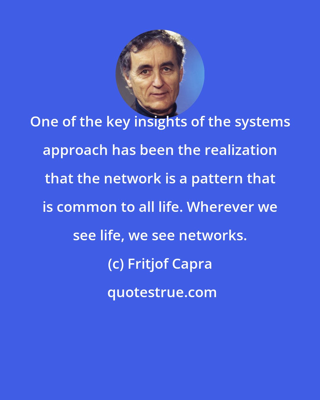 Fritjof Capra: One of the key insights of the systems approach has been the realization that the network is a pattern that is common to all life. Wherever we see life, we see networks.