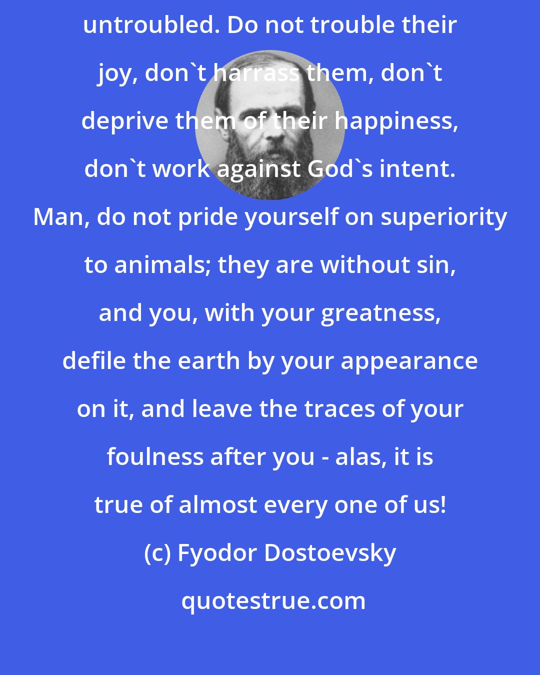 Fyodor Dostoevsky: Love animals: God has given them the rudiments of thought and joy untroubled. Do not trouble their joy, don't harrass them, don't deprive them of their happiness, don't work against God's intent. Man, do not pride yourself on superiority to animals; they are without sin, and you, with your greatness, defile the earth by your appearance on it, and leave the traces of your foulness after you - alas, it is true of almost every one of us!