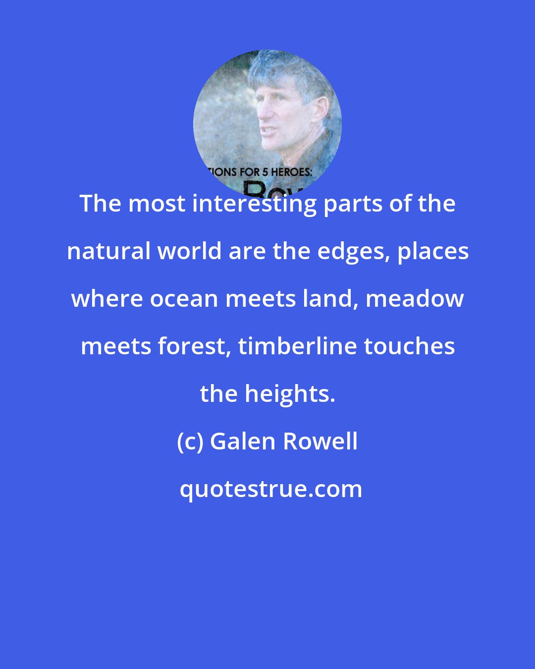Galen Rowell: The most interesting parts of the natural world are the edges, places where ocean meets land, meadow meets forest, timberline touches the heights.