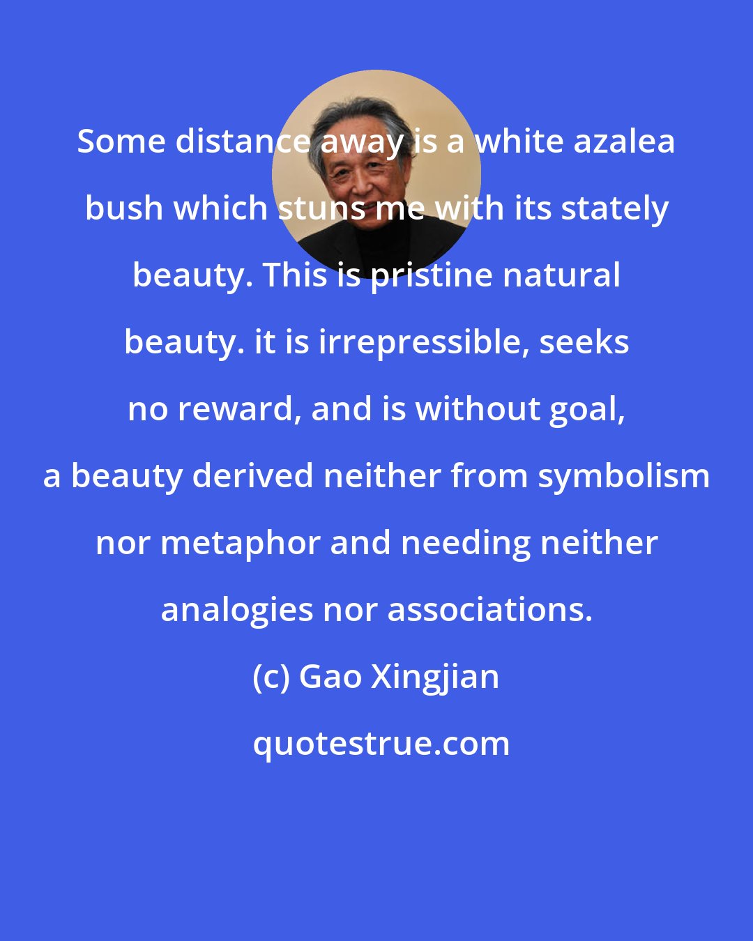 Gao Xingjian: Some distance away is a white azalea bush which stuns me with its stately beauty. This is pristine natural beauty. it is irrepressible, seeks no reward, and is without goal, a beauty derived neither from symbolism nor metaphor and needing neither analogies nor associations.