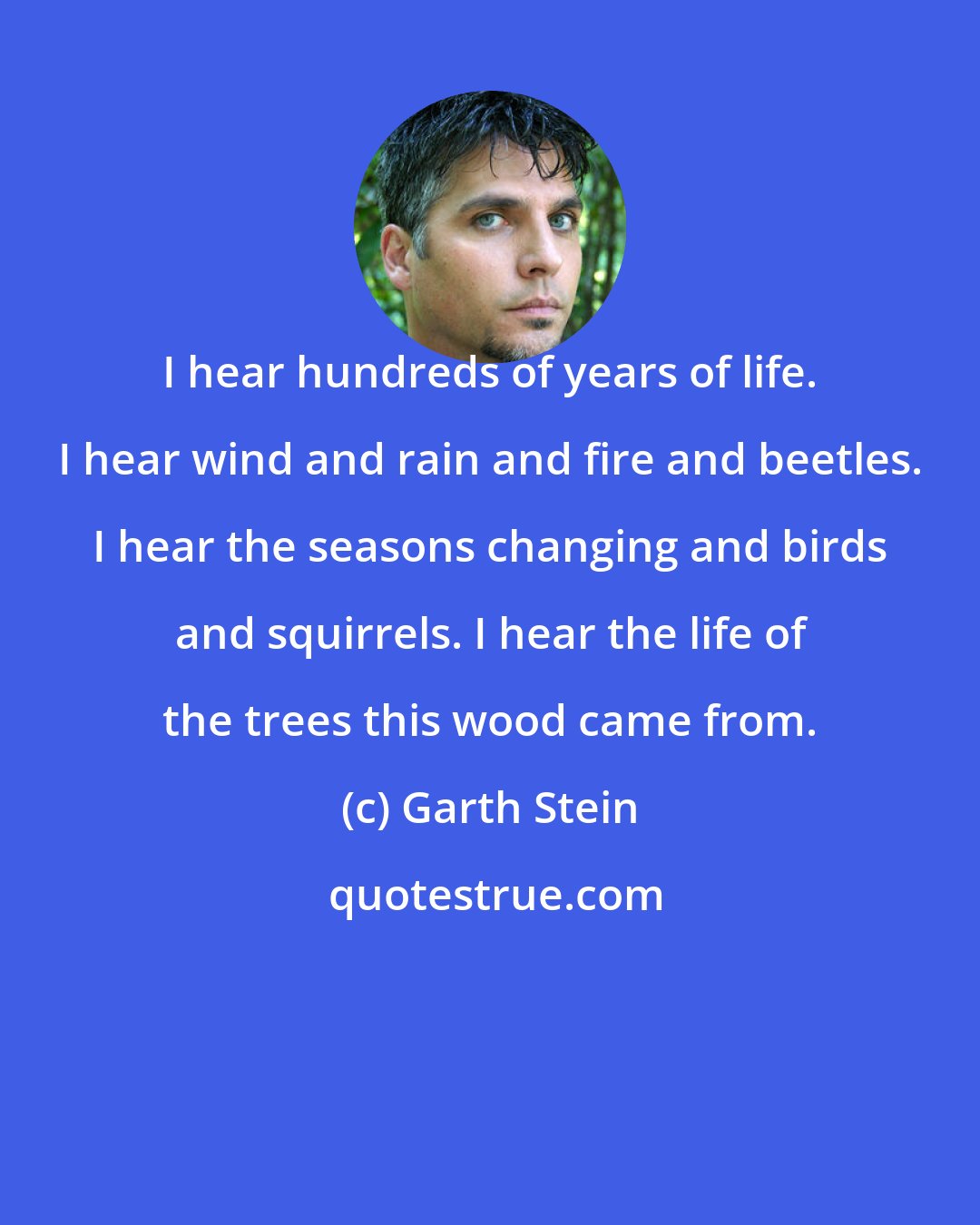 Garth Stein: I hear hundreds of years of life. I hear wind and rain and fire and beetles. I hear the seasons changing and birds and squirrels. I hear the life of the trees this wood came from.