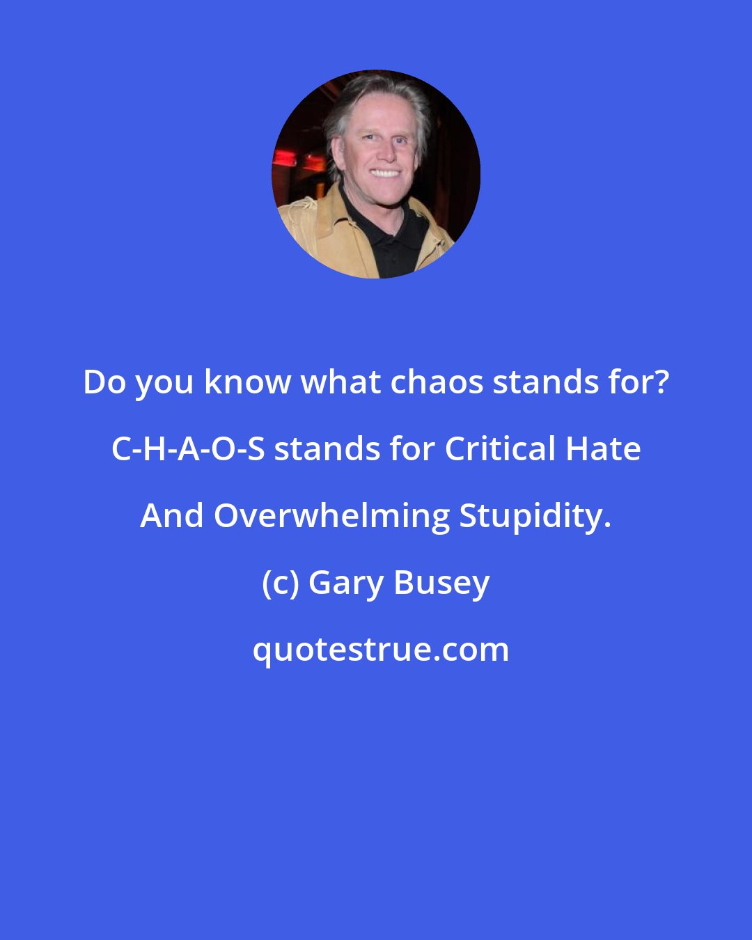 Gary Busey: Do you know what chaos stands for? C-H-A-O-S stands for Critical Hate And Overwhelming Stupidity.