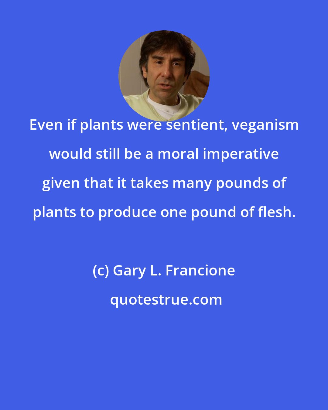 Gary L. Francione: Even if plants were sentient, veganism would still be a moral imperative given that it takes many pounds of plants to produce one pound of flesh.