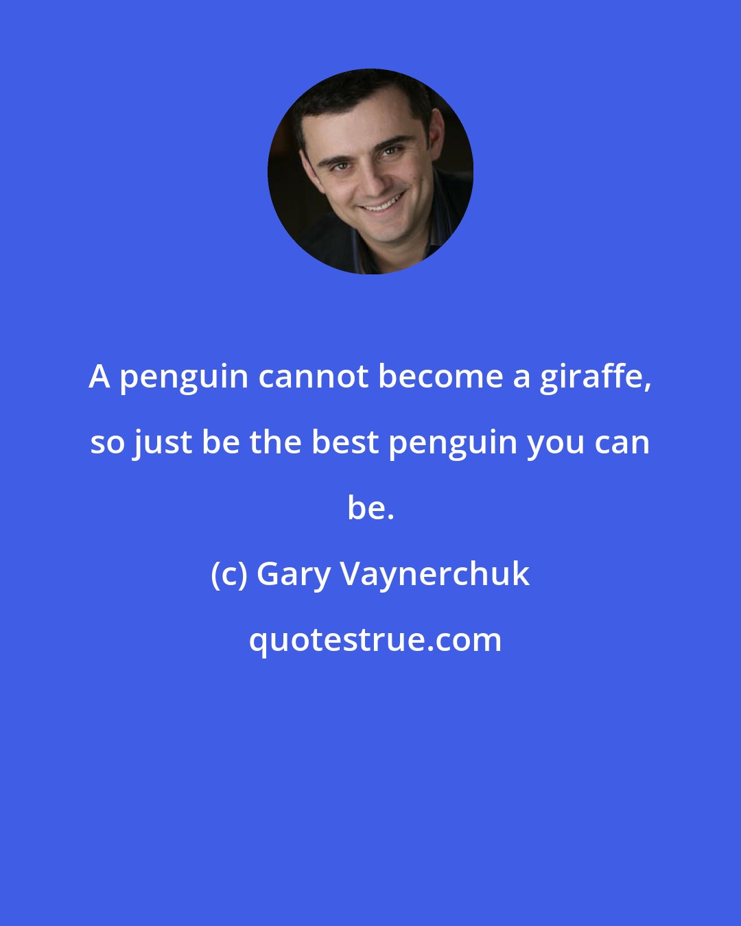 Gary Vaynerchuk: A penguin cannot become a giraffe, so just be the best penguin you can be.