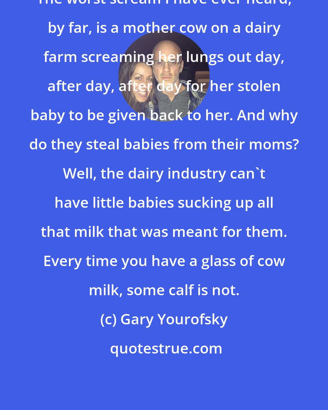 Gary Yourofsky: The worst scream I have ever heard, by far, is a mother cow on a dairy farm screaming her lungs out day, after day, after day for her stolen baby to be given back to her. And why do they steal babies from their moms? Well, the dairy industry can't have little babies sucking up all that milk that was meant for them. Every time you have a glass of cow milk, some calf is not.