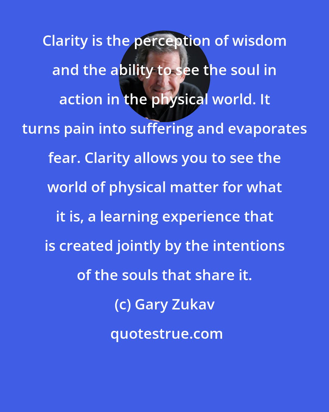 Gary Zukav: Clarity is the perception of wisdom and the ability to see the soul in action in the physical world. It turns pain into suffering and evaporates fear. Clarity allows you to see the world of physical matter for what it is, a learning experience that is created jointly by the intentions of the souls that share it.