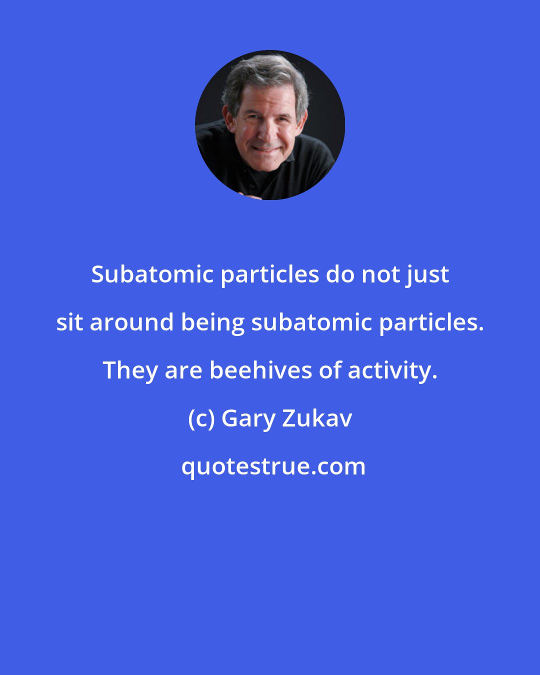Gary Zukav: Subatomic particles do not just sit around being subatomic particles. They are beehives of activity.