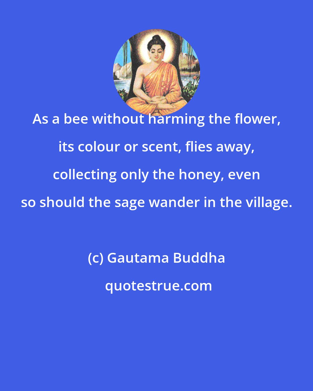 Gautama Buddha: As a bee without harming the flower, its colour or scent, flies away, collecting only the honey, even so should the sage wander in the village.