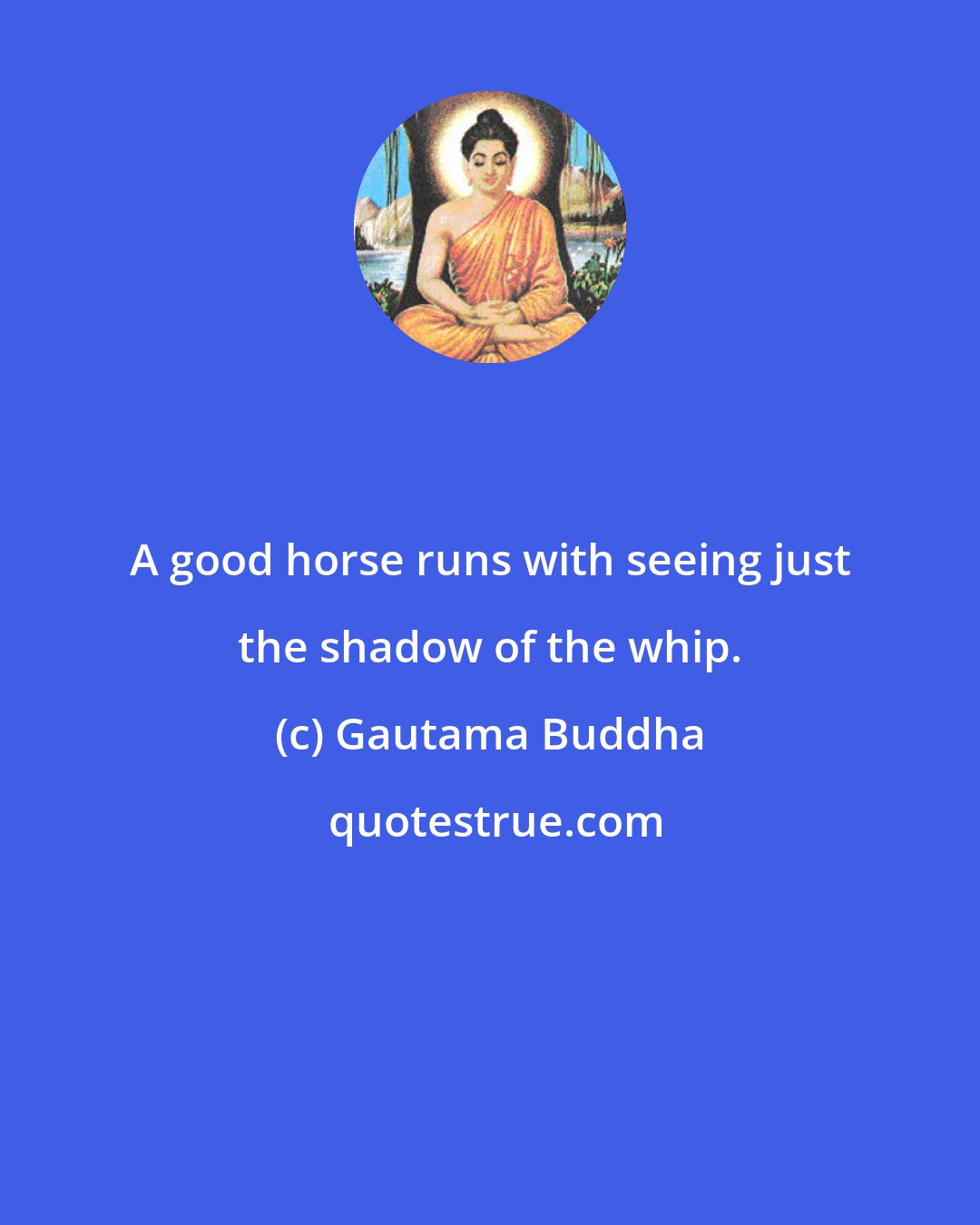 Gautama Buddha: A good horse runs with seeing just the shadow of the whip.