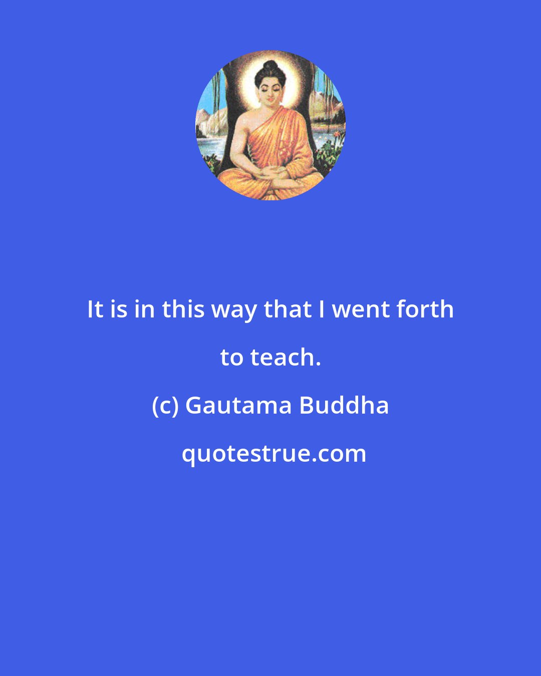 Gautama Buddha: It is in this way that I went forth to teach.