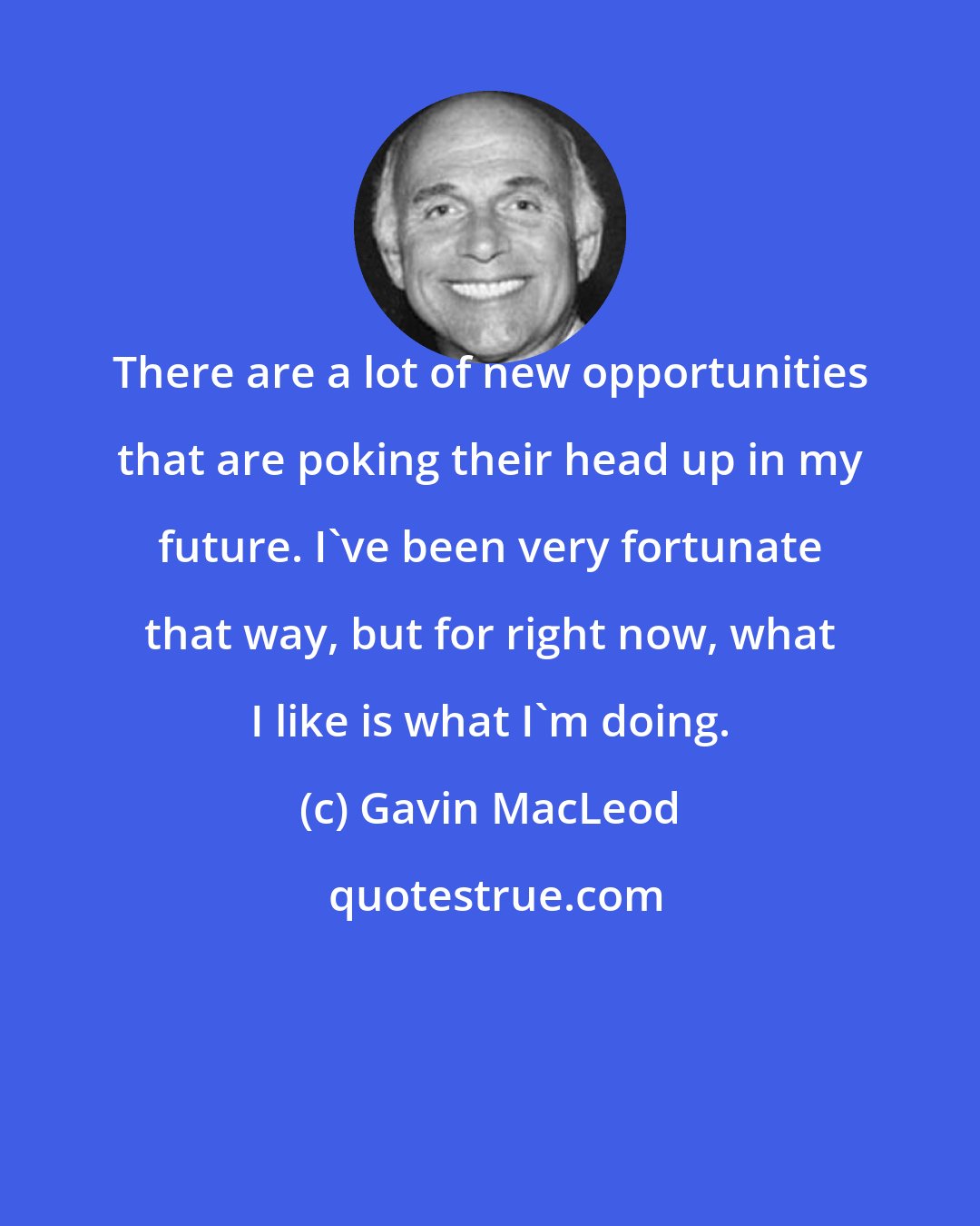 Gavin MacLeod: There are a lot of new opportunities that are poking their head up in my future. I've been very fortunate that way, but for right now, what I like is what I'm doing.