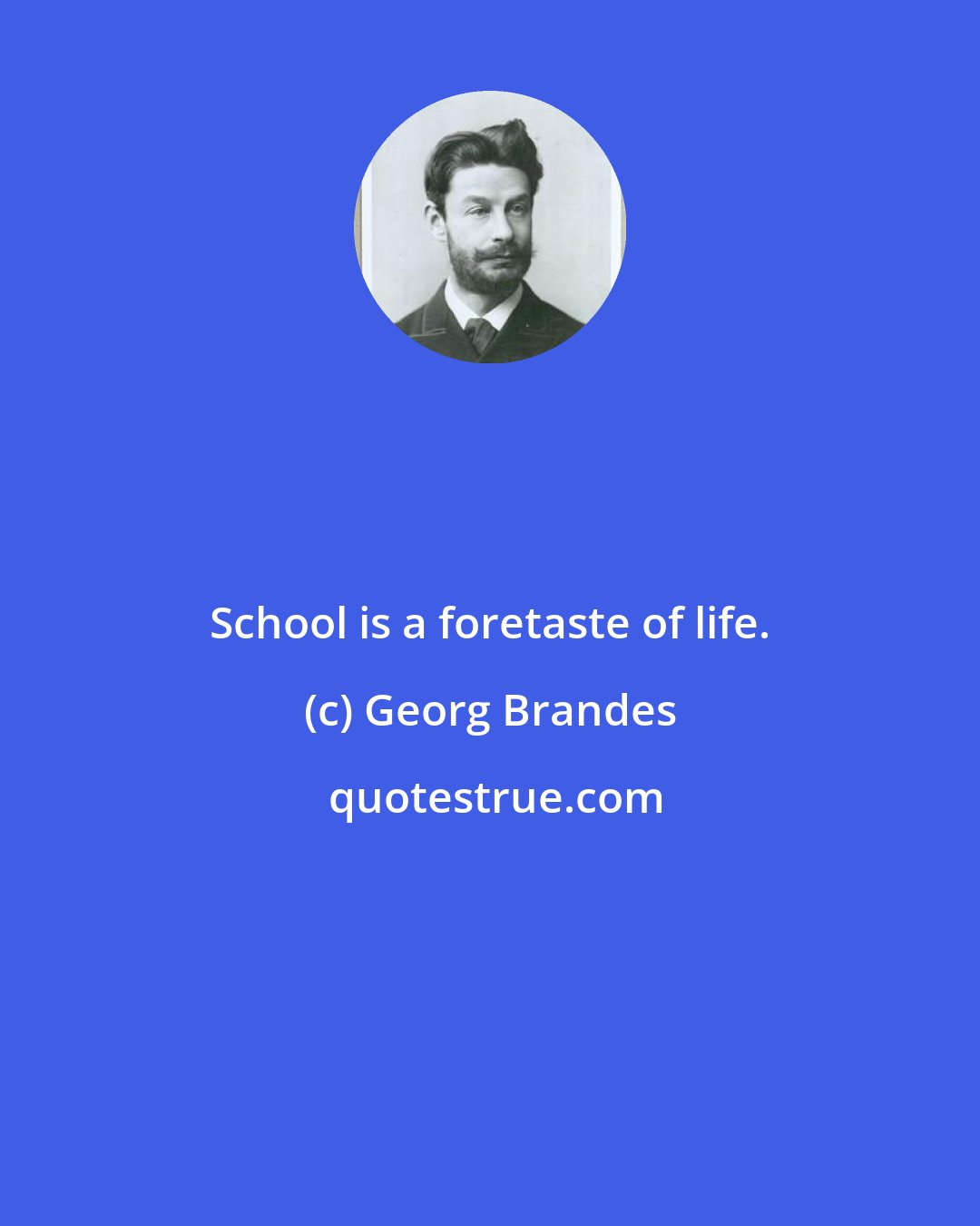 Georg Brandes: School is a foretaste of life.
