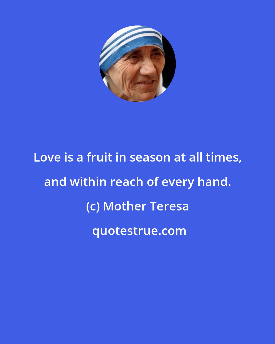 Mother Teresa: Love is a fruit in season at all times, and within reach of every hand.
