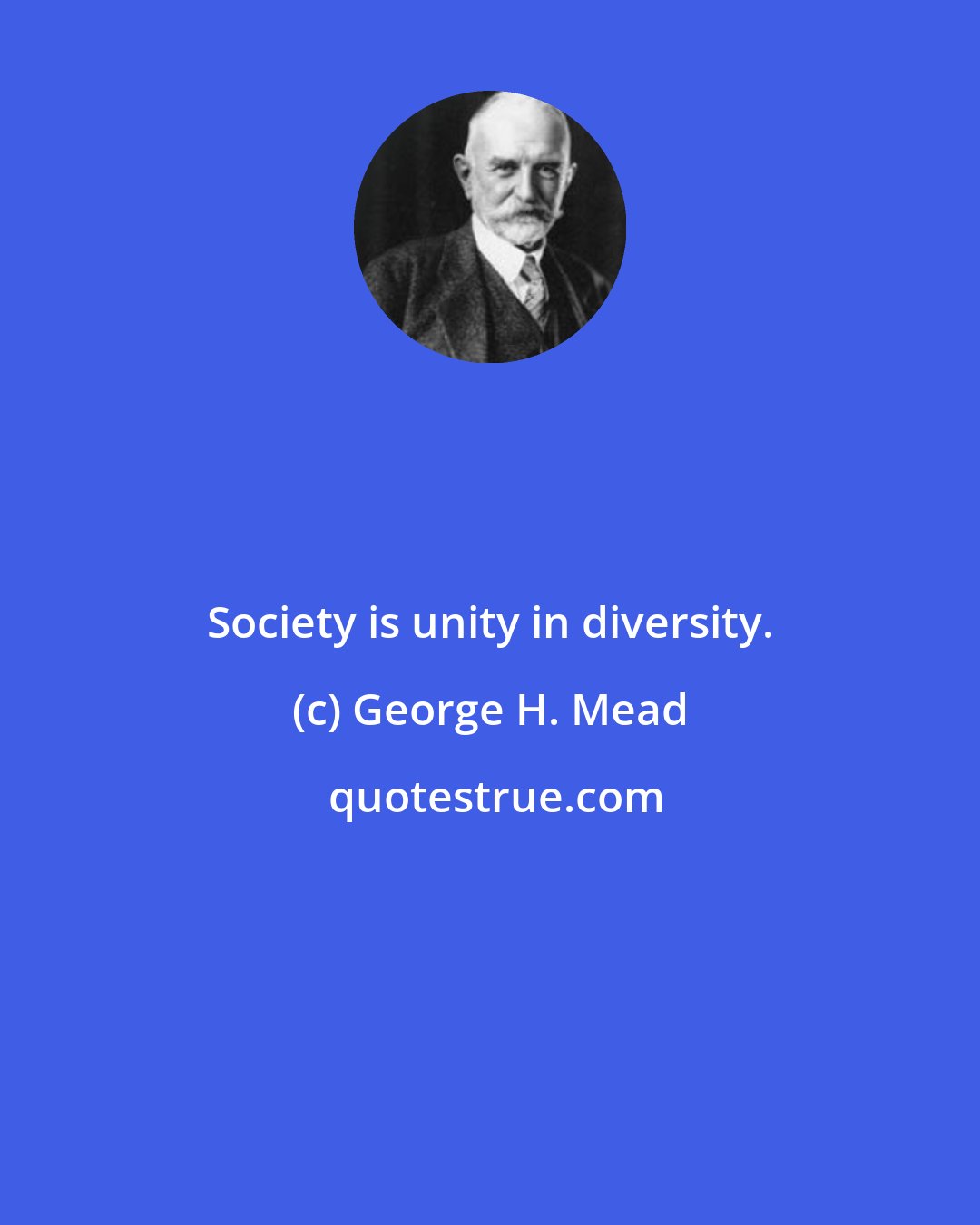 George H. Mead: Society is unity in diversity.