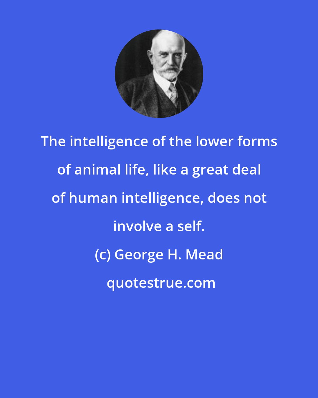 George H. Mead: The intelligence of the lower forms of animal life, like a great deal of human intelligence, does not involve a self.