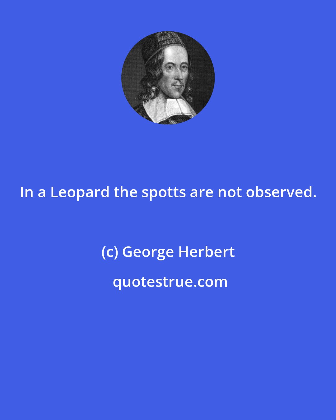 George Herbert: In a Leopard the spotts are not observed.