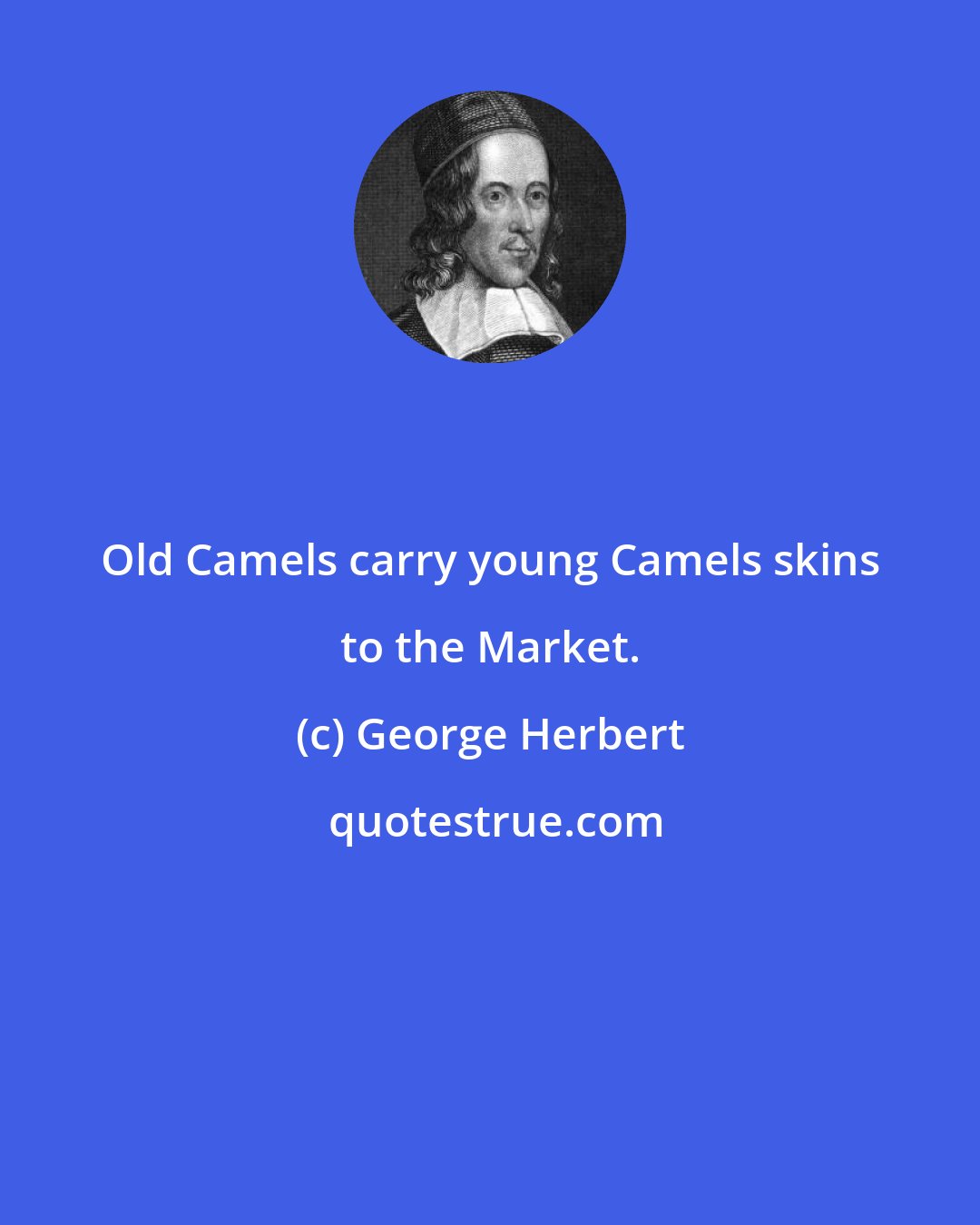 George Herbert: Old Camels carry young Camels skins to the Market.