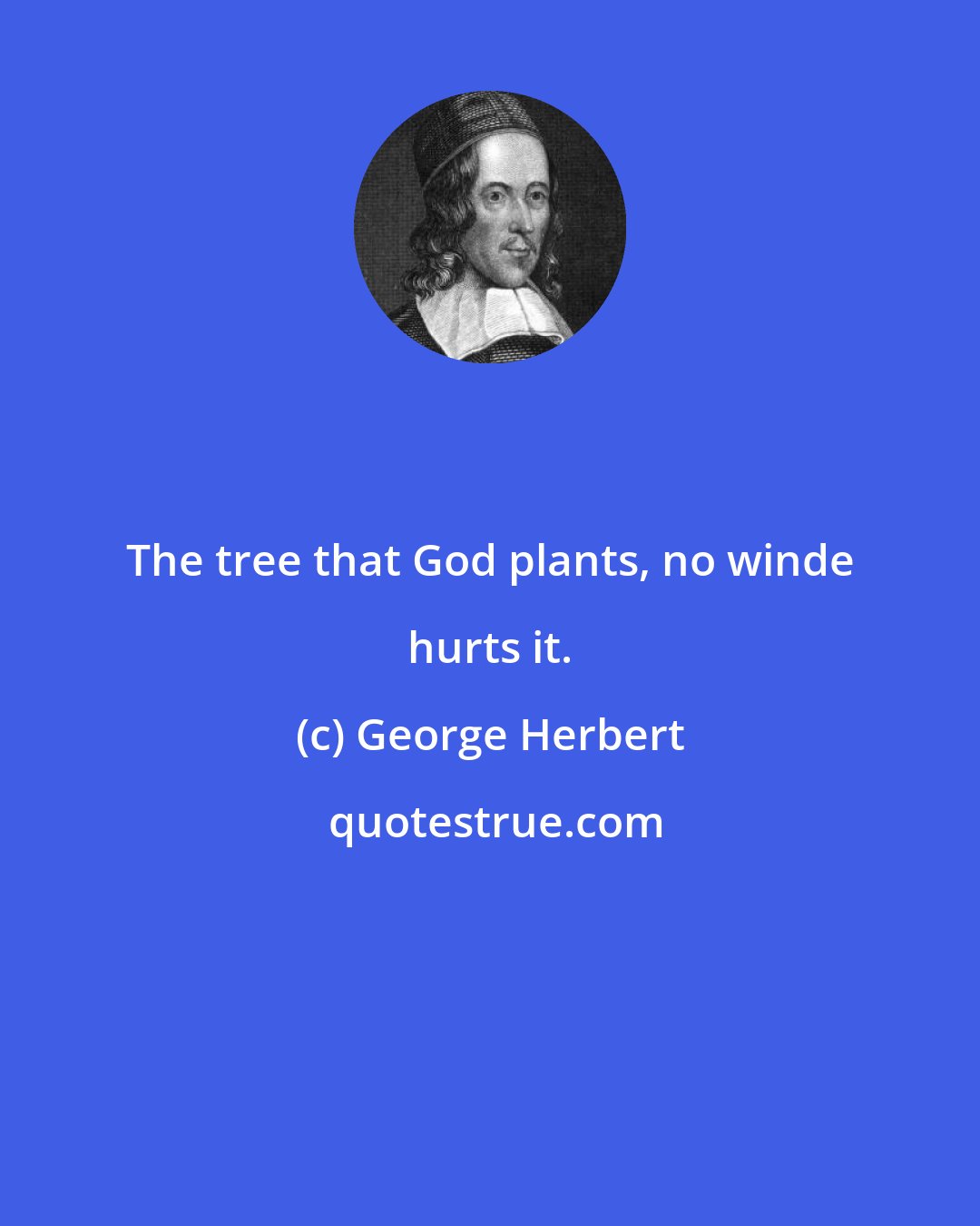 George Herbert: The tree that God plants, no winde hurts it.