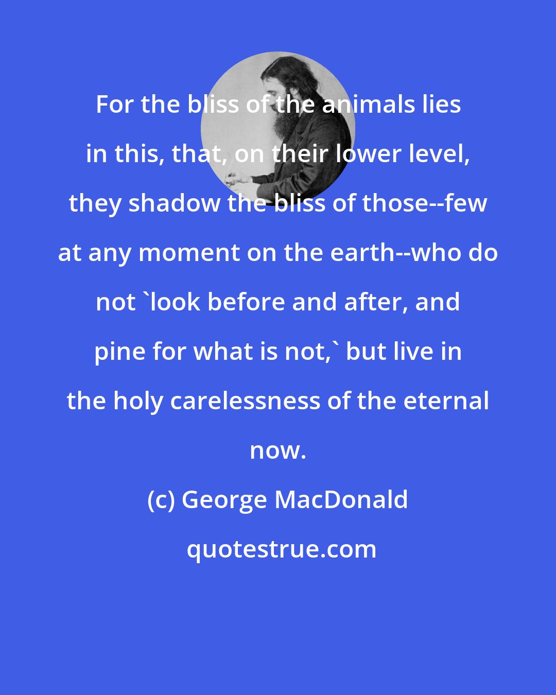 George MacDonald: For the bliss of the animals lies in this, that, on their lower level, they shadow the bliss of those--few at any moment on the earth--who do not 'look before and after, and pine for what is not,' but live in the holy carelessness of the eternal now.