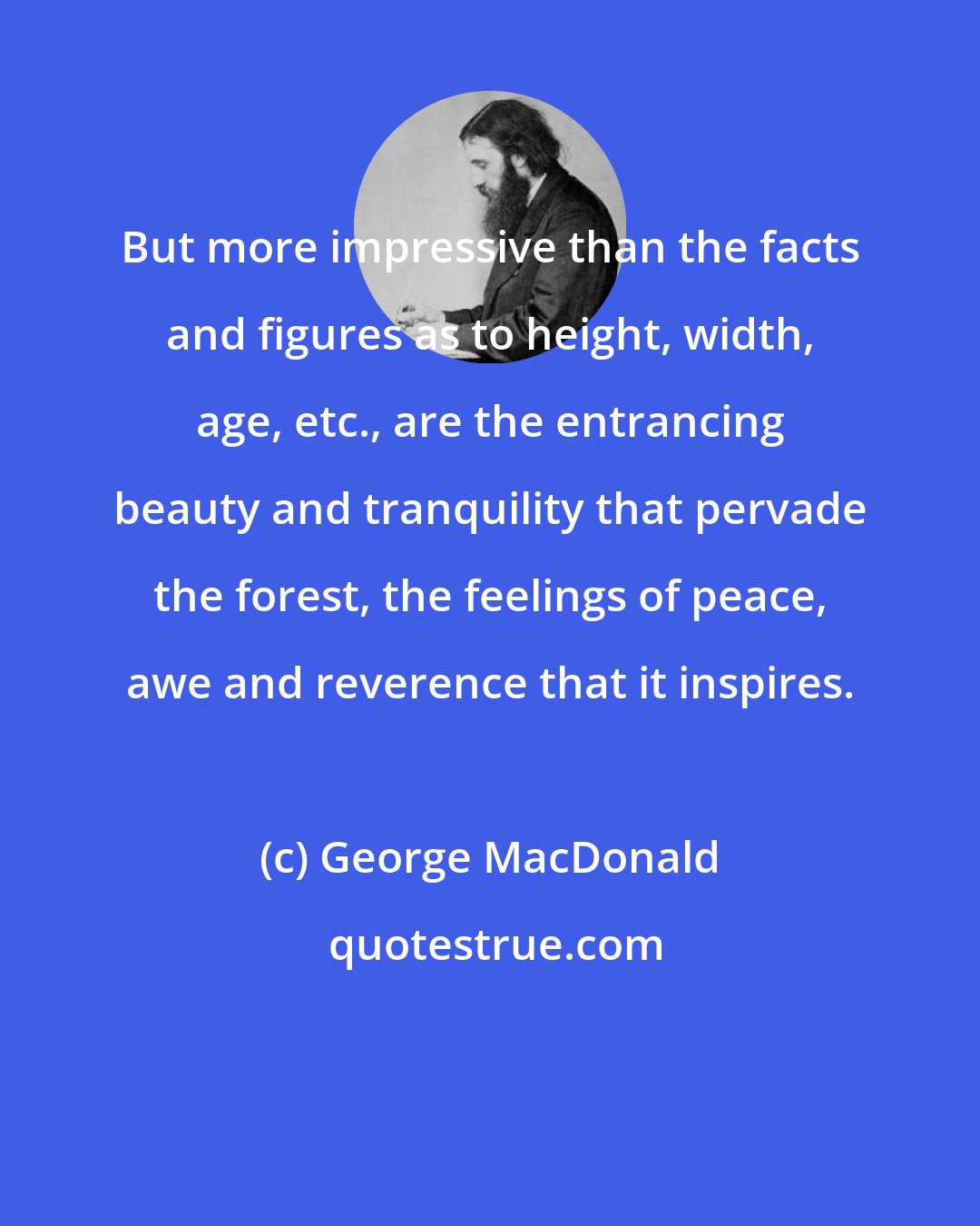 George MacDonald: But more impressive than the facts and figures as to height, width, age, etc., are the entrancing beauty and tranquility that pervade the forest, the feelings of peace, awe and reverence that it inspires.