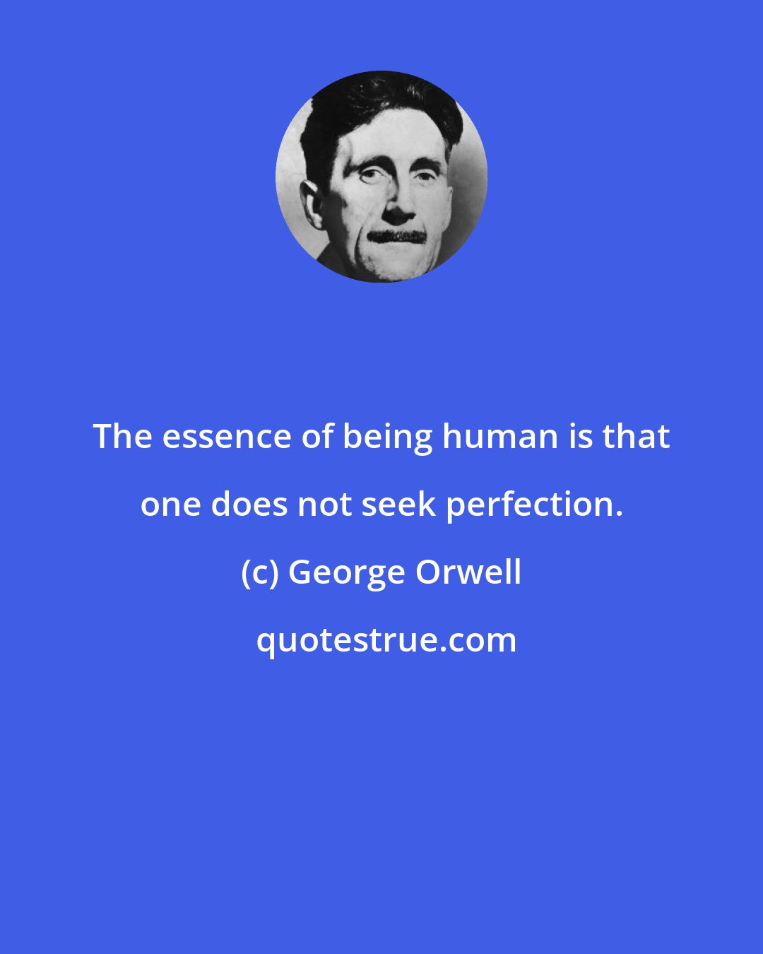 George Orwell: The essence of being human is that one does not seek perfection.