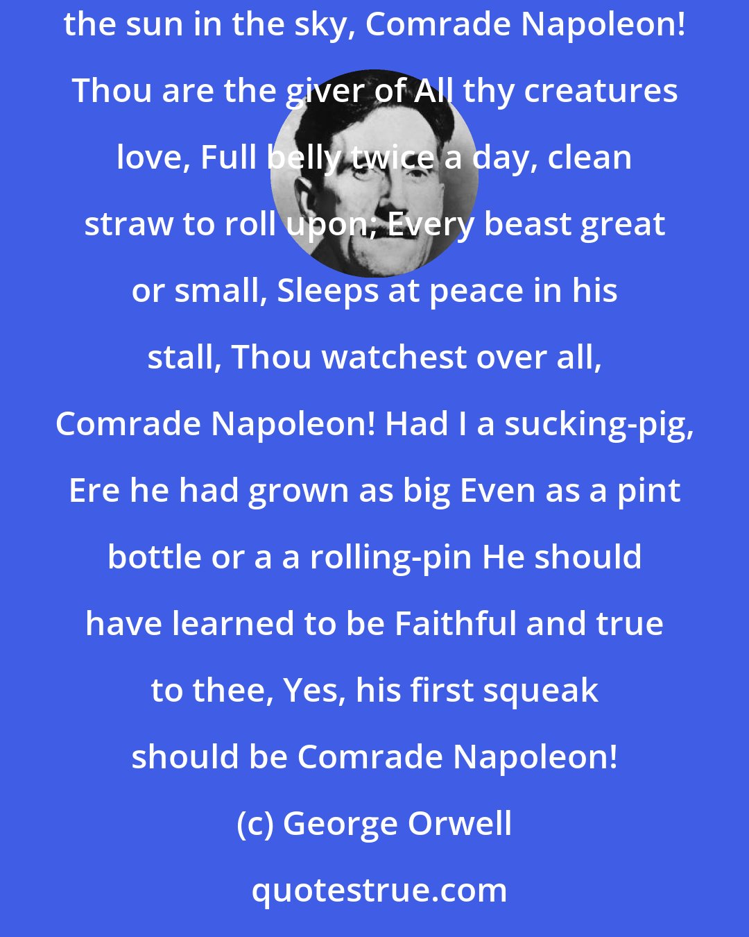 George Orwell: Friend of fatherless! Fountain of happiness! Lord of the swill-bucket! Oh, how my soul is on Fire when I gaze at thy Calm and commanding eye. Like the sun in the sky, Comrade Napoleon! Thou are the giver of All thy creatures love, Full belly twice a day, clean straw to roll upon; Every beast great or small, Sleeps at peace in his stall, Thou watchest over all, Comrade Napoleon! Had I a sucking-pig, Ere he had grown as big Even as a pint bottle or a a rolling-pin He should have learned to be Faithful and true to thee, Yes, his first squeak should be Comrade Napoleon!