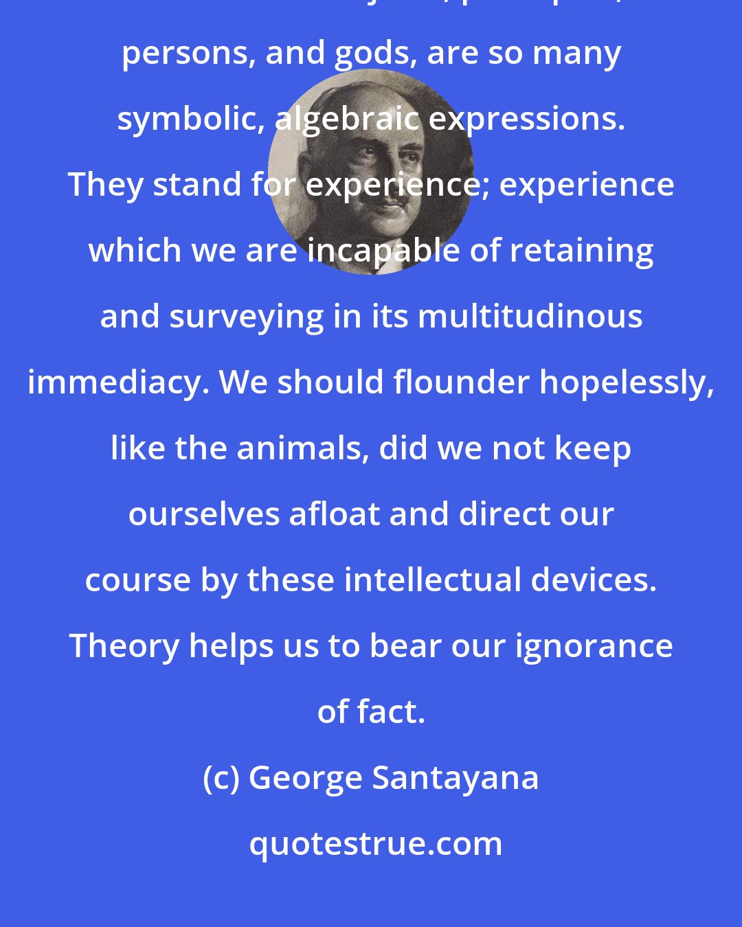 George Santayana: The whole machinery of our intelligence, our general ideas and laws, fixed and external objects, principles, persons, and gods, are so many symbolic, algebraic expressions. They stand for experience; experience which we are incapable of retaining and surveying in its multitudinous immediacy. We should flounder hopelessly, like the animals, did we not keep ourselves afloat and direct our course by these intellectual devices. Theory helps us to bear our ignorance of fact.