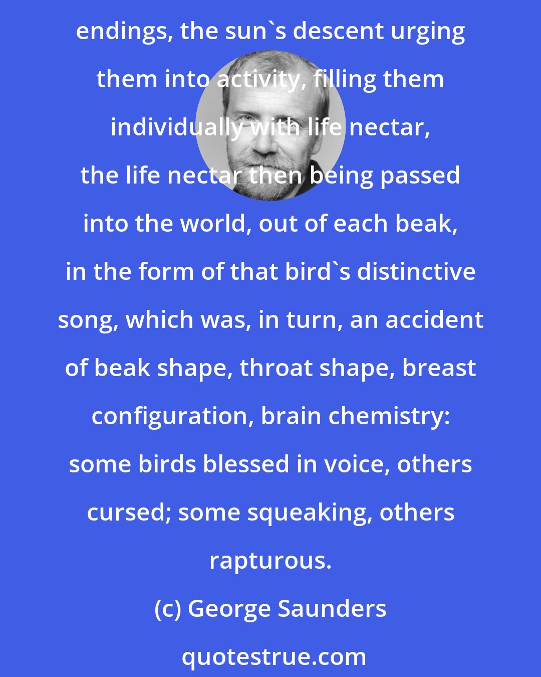 George Saunders: Night was falling. Birds were singing. Birds were, it occurred to me to say, enacting a frantic celebration of day's end. They were manifesting as the earth's bright-colored nerve endings, the sun's descent urging them into activity, filling them individually with life nectar, the life nectar then being passed into the world, out of each beak, in the form of that bird's distinctive song, which was, in turn, an accident of beak shape, throat shape, breast configuration, brain chemistry: some birds blessed in voice, others cursed; some squeaking, others rapturous.