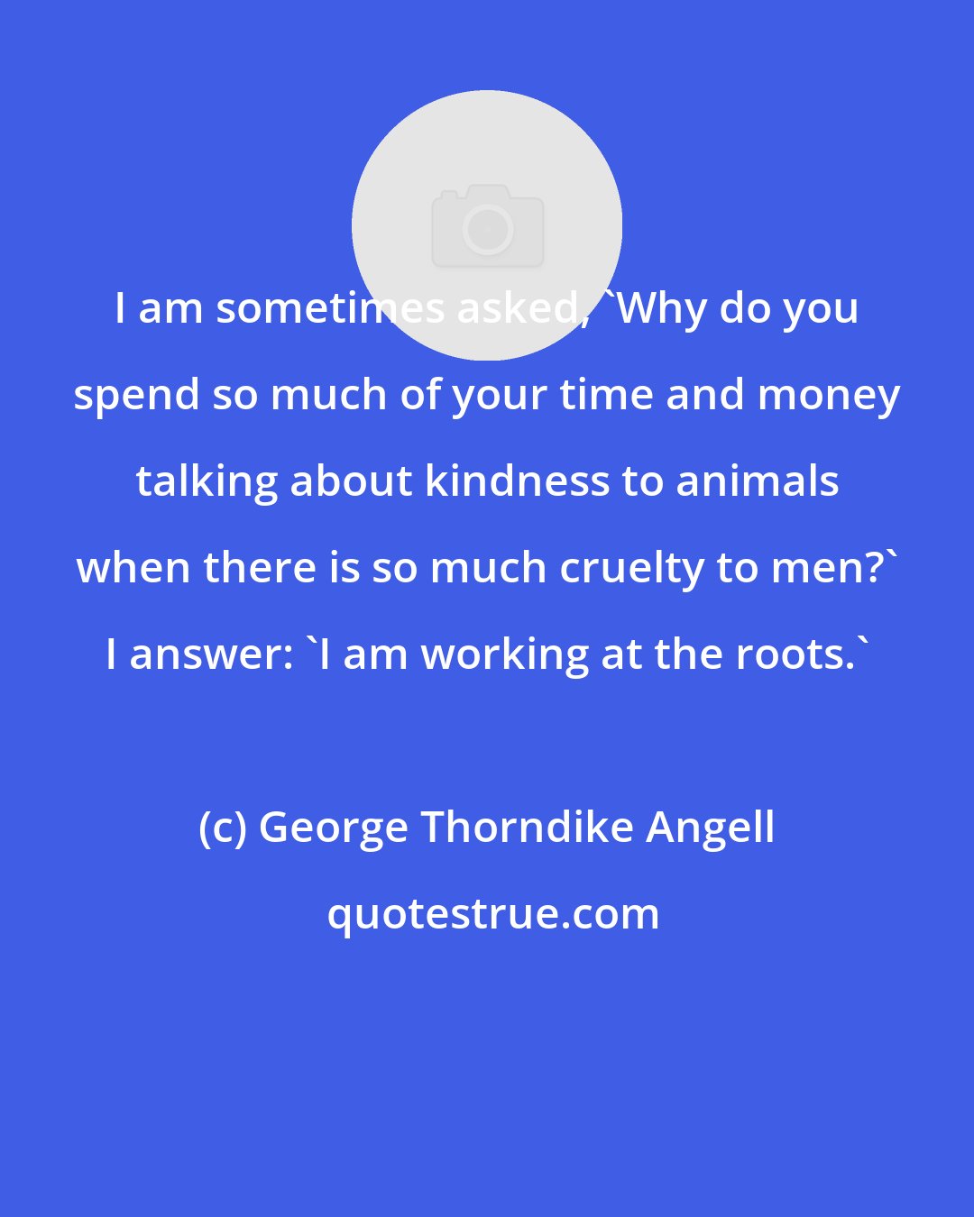 George Thorndike Angell: I am sometimes asked, 'Why do you spend so much of your time and money talking about kindness to animals when there is so much cruelty to men?' I answer: 'I am working at the roots.'