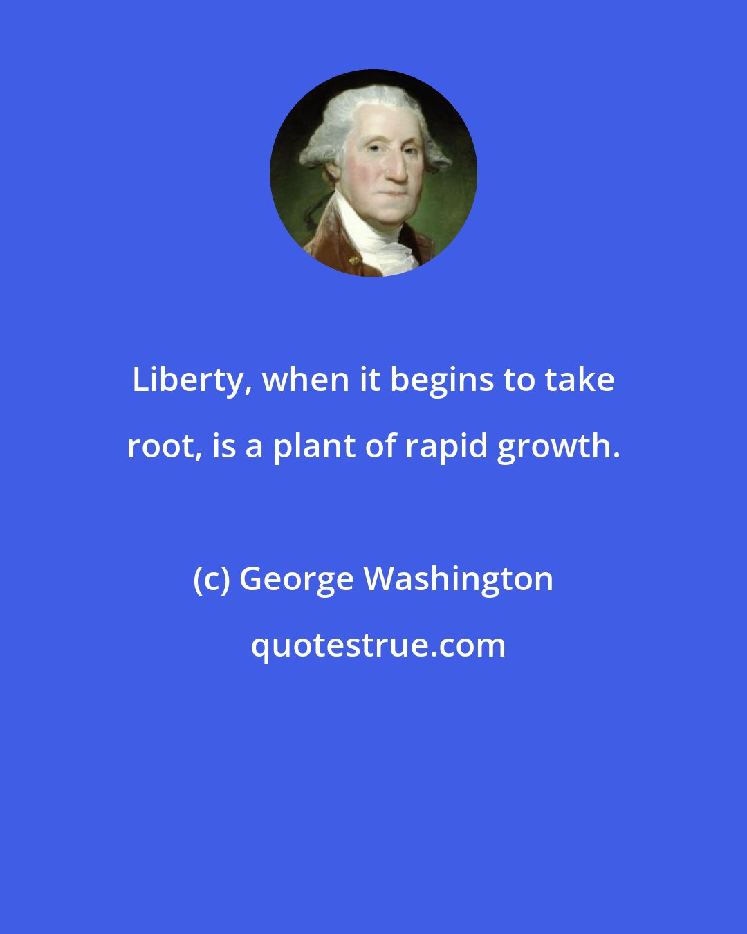 George Washington: Liberty, when it begins to take root, is a plant of rapid growth.