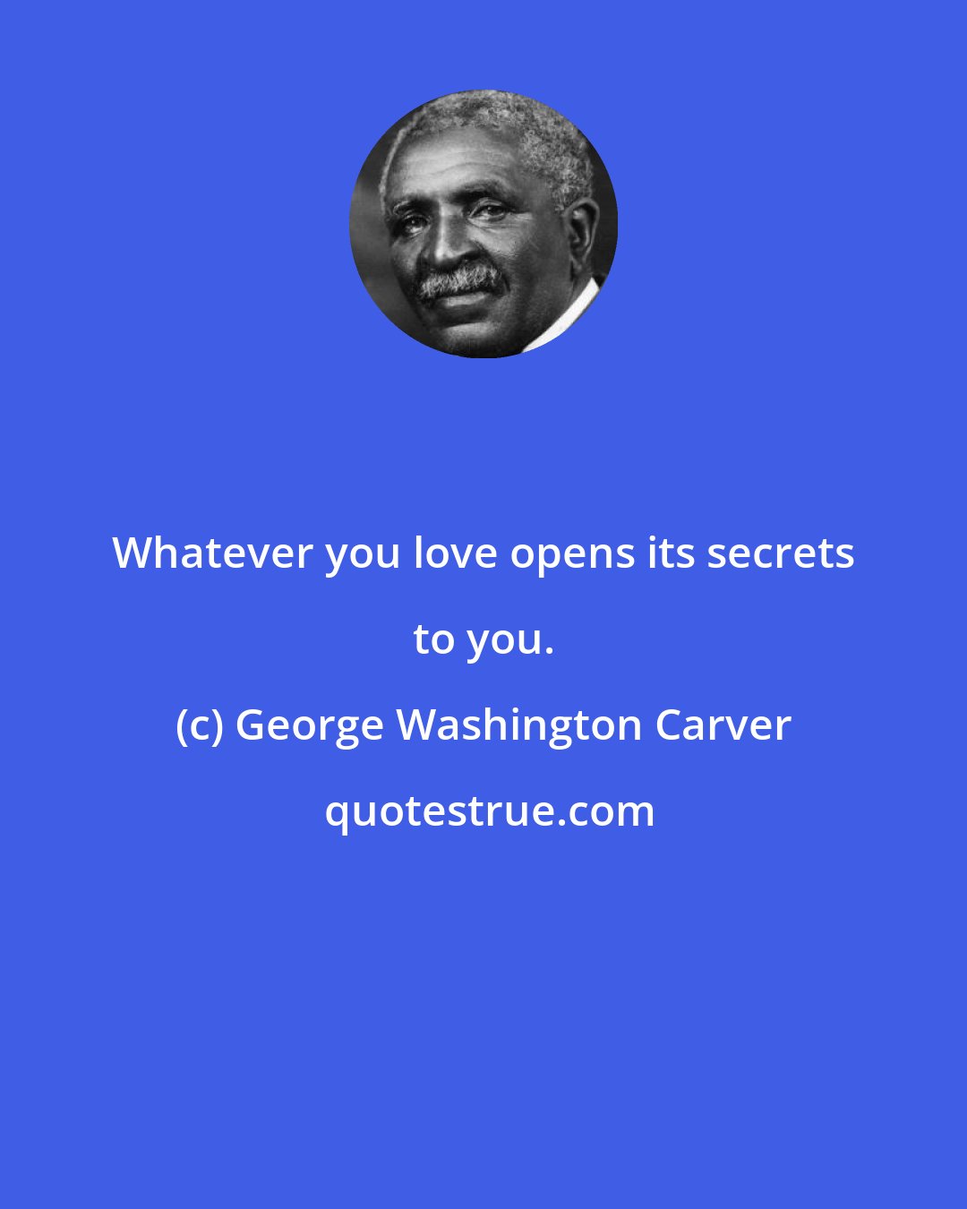 George Washington Carver: Whatever you love opens its secrets to you.