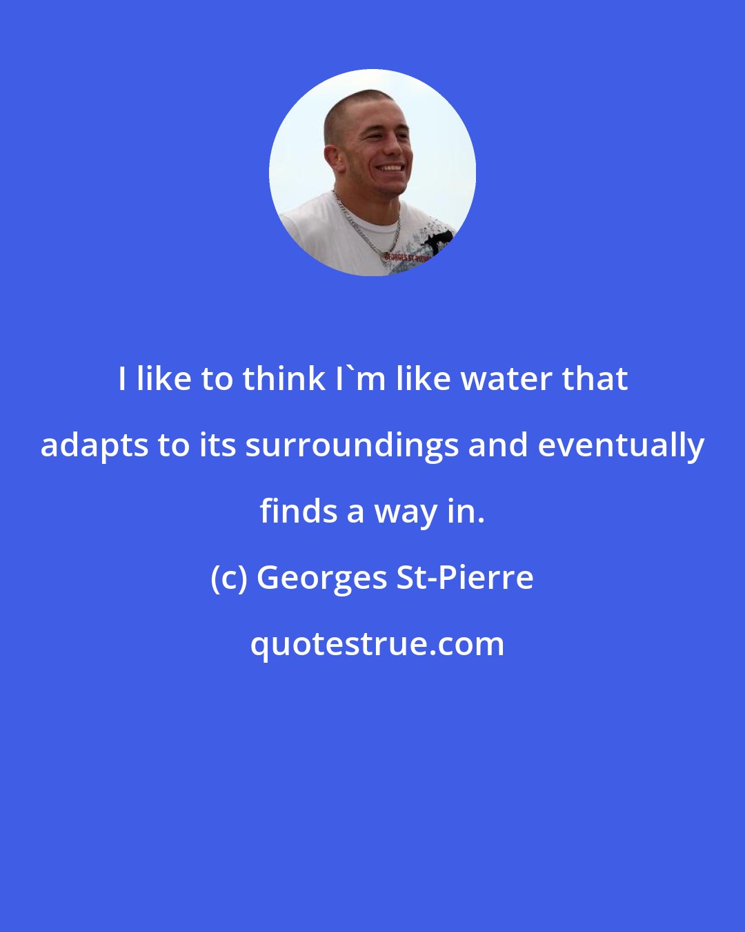 Georges St-Pierre: I like to think I'm like water that adapts to its surroundings and eventually finds a way in.