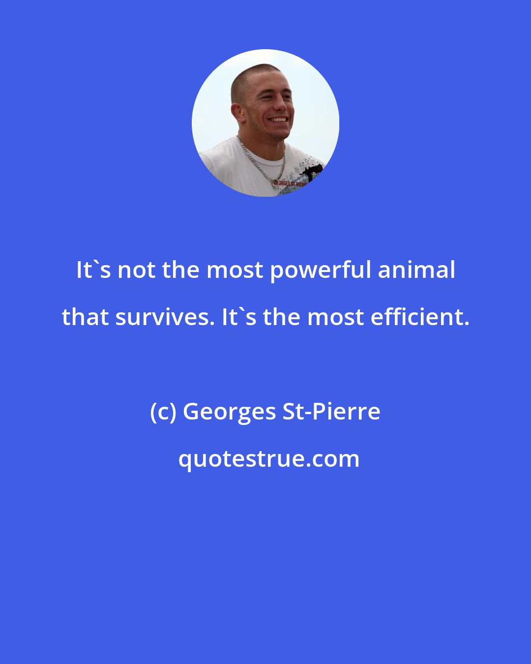 Georges St-Pierre: It's not the most powerful animal that survives. It's the most efficient.