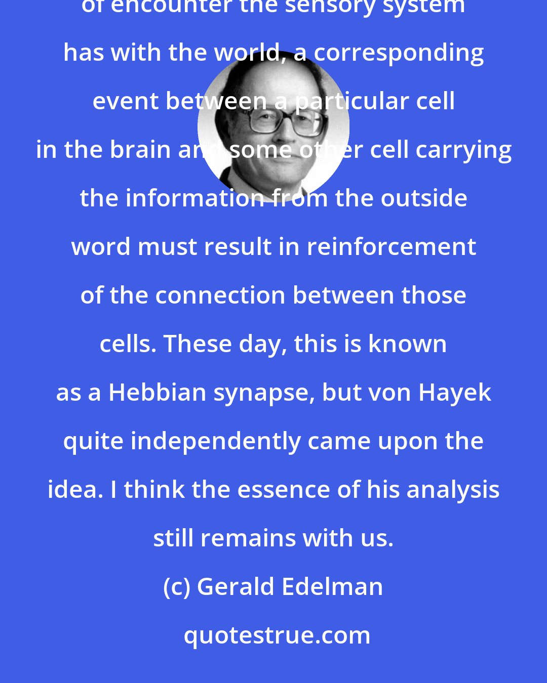 Gerald Edelman: Hayek  made a quite fruitful suggestion, made contemporaneously by the psychologist Donald Hebb, that whatever kind of encounter the sensory system has with the world, a corresponding event between a particular cell in the brain and some other cell carrying the information from the outside word must result in reinforcement of the connection between those cells. These day, this is known as a Hebbian synapse, but von Hayek quite independently came upon the idea. I think the essence of his analysis still remains with us.