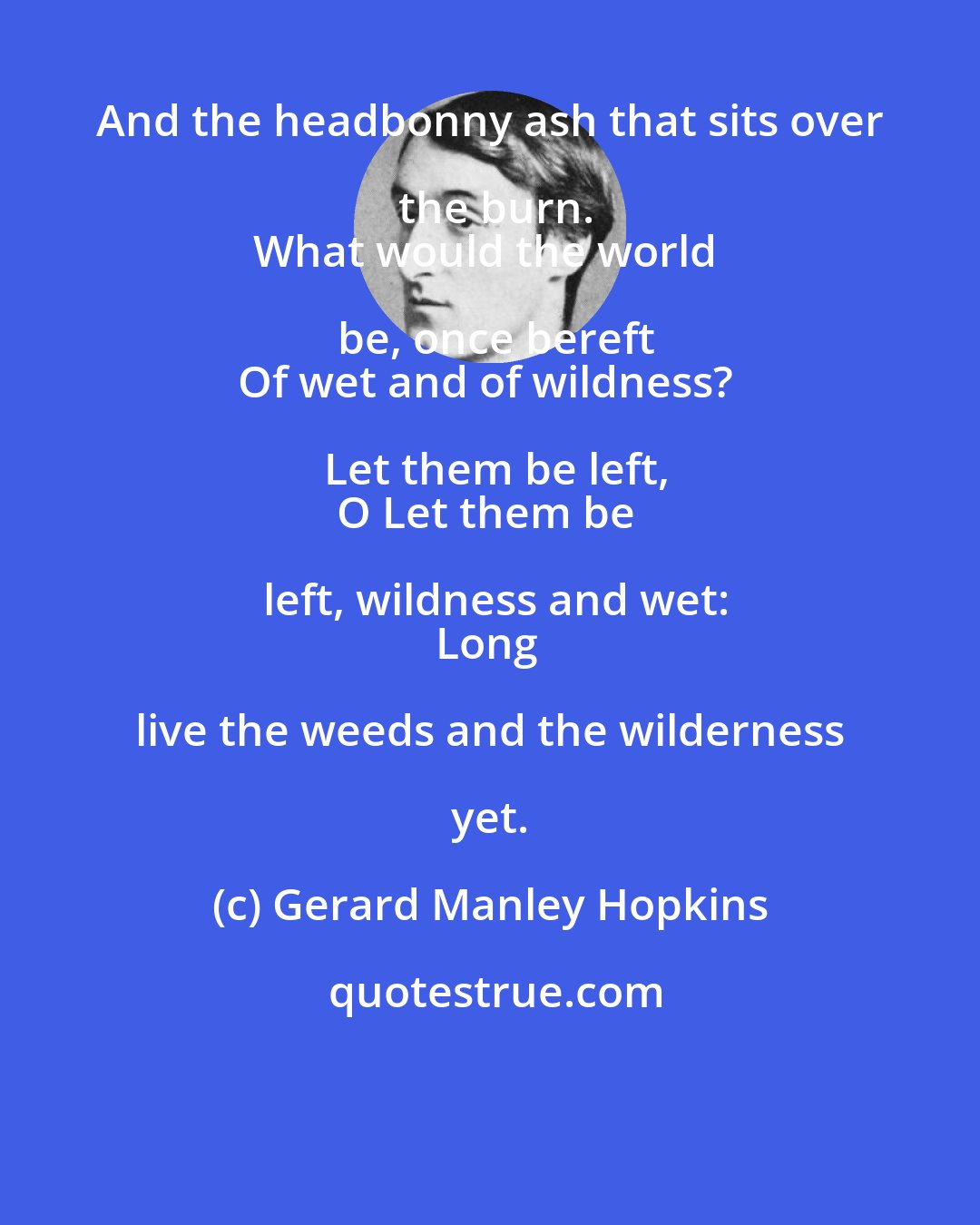 Gerard Manley Hopkins: And the headbonny ash that sits over the burn.
What would the world be, once bereft
Of wet and of wildness? Let them be left,
O Let them be left, wildness and wet:
Long live the weeds and the wilderness yet.