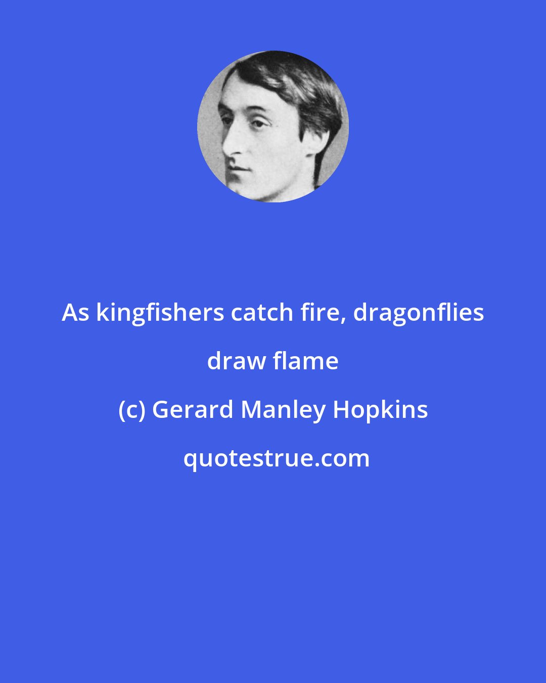 Gerard Manley Hopkins: As kingfishers catch fire, dragonflies draw flame