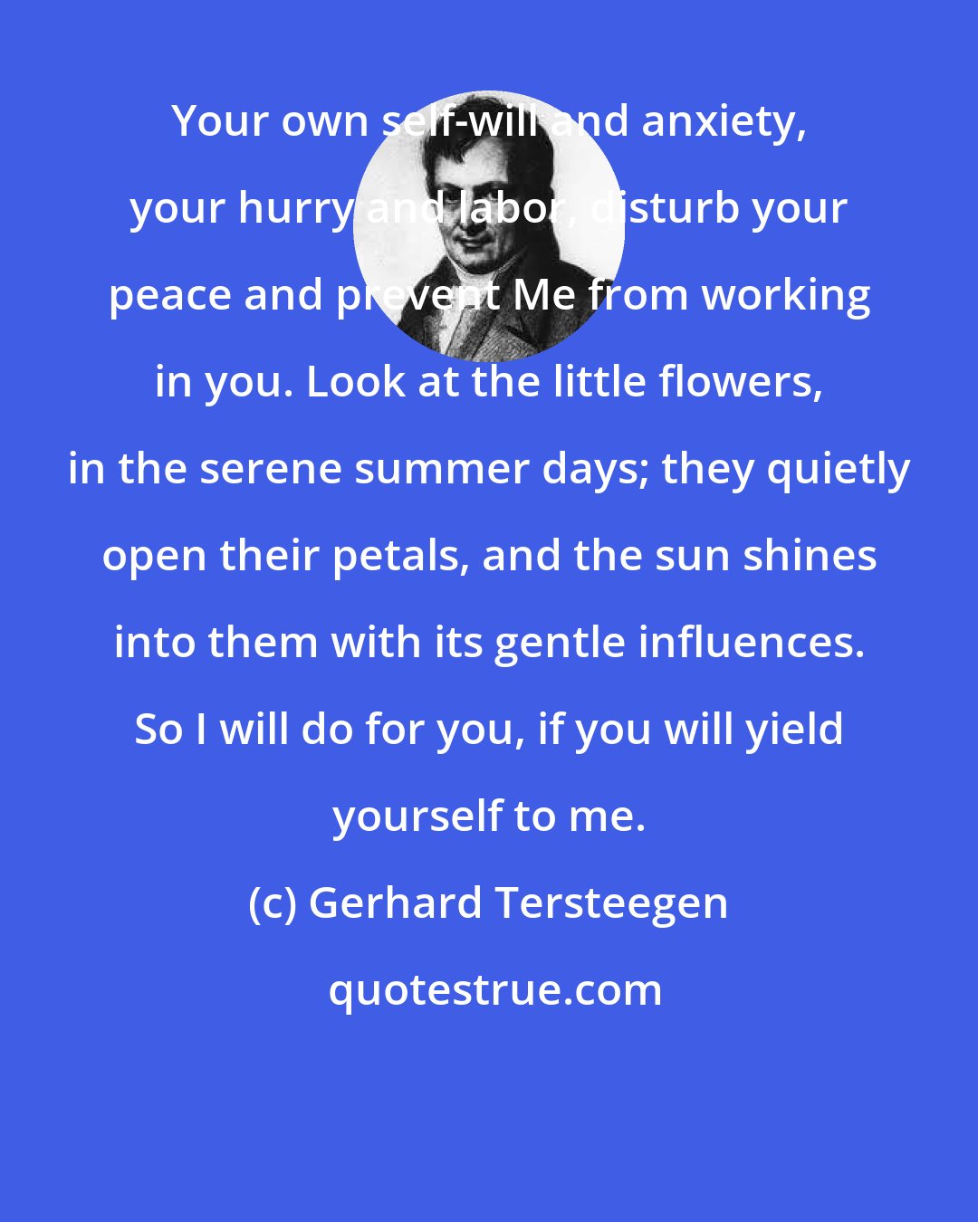 Gerhard Tersteegen: Your own self-will and anxiety, your hurry and labor, disturb your peace and prevent Me from working in you. Look at the little flowers, in the serene summer days; they quietly open their petals, and the sun shines into them with its gentle influences. So I will do for you, if you will yield yourself to me.