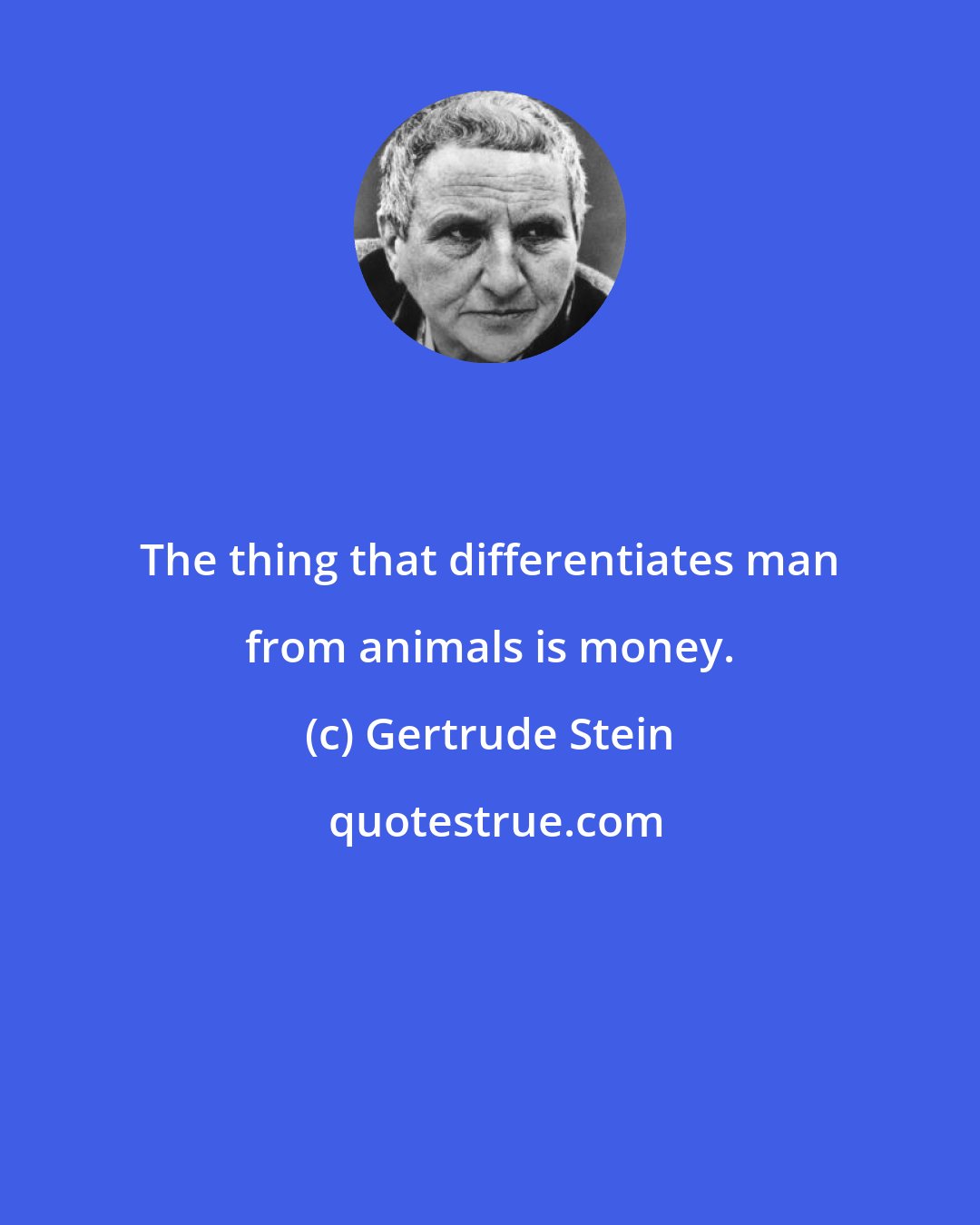 Gertrude Stein: The thing that differentiates man from animals is money.