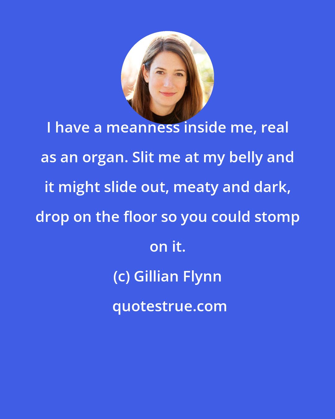 Gillian Flynn: I have a meanness inside me, real as an organ. Slit me at my belly and it might slide out, meaty and dark, drop on the floor so you could stomp on it.