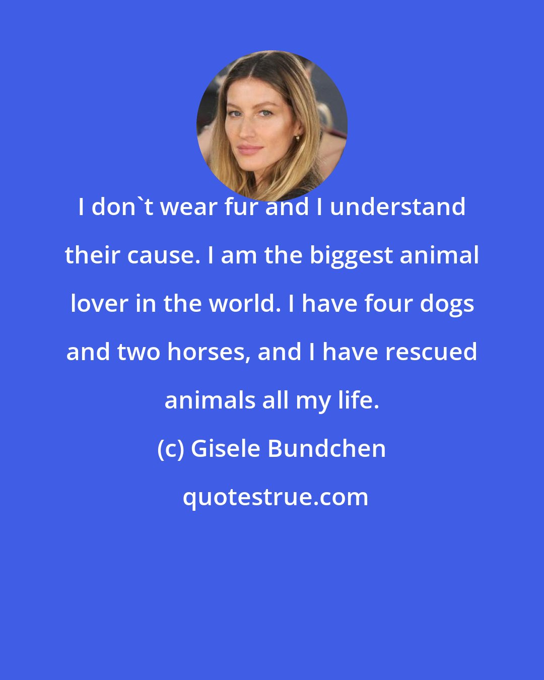 Gisele Bundchen: I don't wear fur and I understand their cause. I am the biggest animal lover in the world. I have four dogs and two horses, and I have rescued animals all my life.