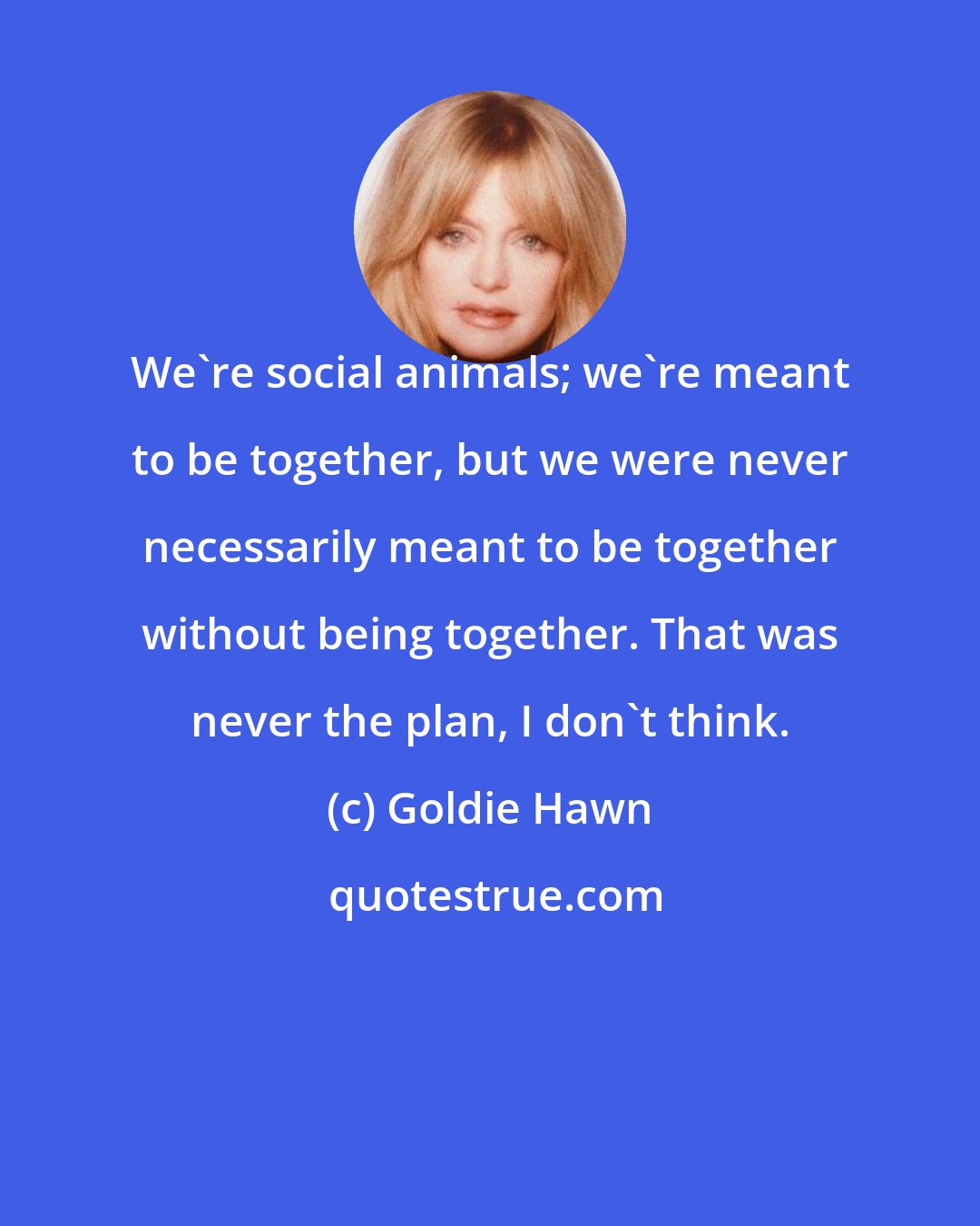 Goldie Hawn: We're social animals; we're meant to be together, but we were never necessarily meant to be together without being together. That was never the plan, I don't think.