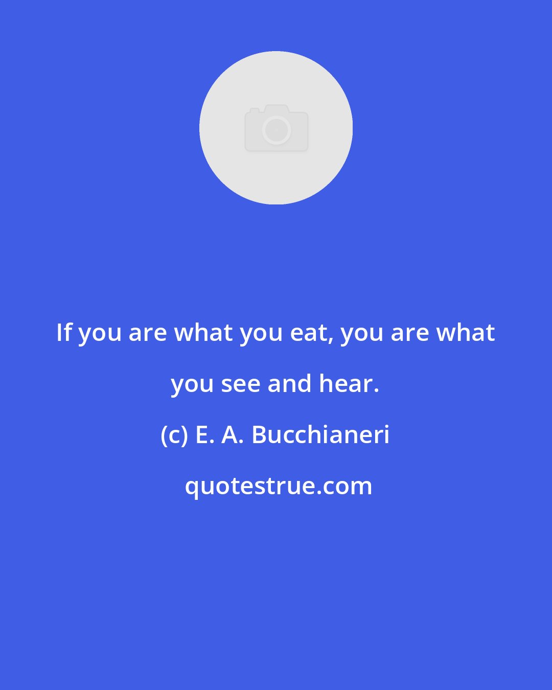 E. A. Bucchianeri: If you are what you eat, you are what you see and hear.