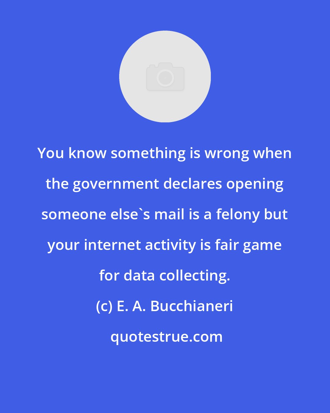 E. A. Bucchianeri: You know something is wrong when the government declares opening someone else's mail is a felony but your internet activity is fair game for data collecting.