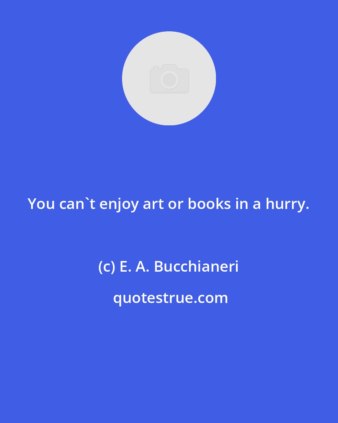E. A. Bucchianeri: You can't enjoy art or books in a hurry.